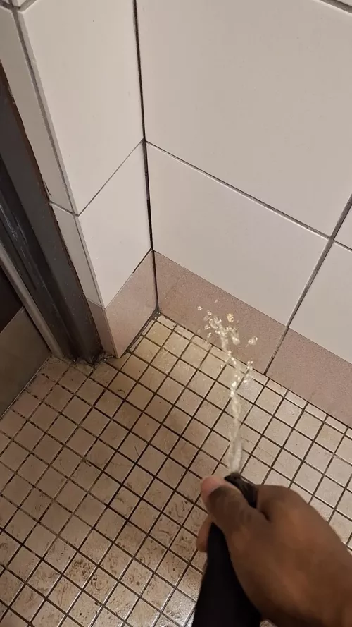 Cock fountain  by ttkmalon