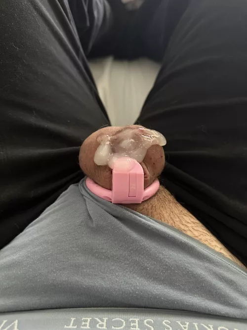 Daddy woke me up and left me a little present on my cage before he left for work... by Tasty-Conference-546