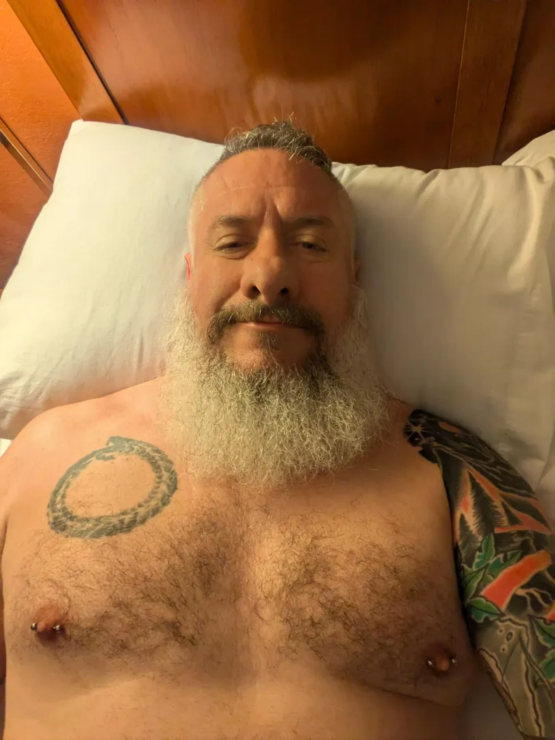 Good morning from my hotel bed posted by ostensibly_furry