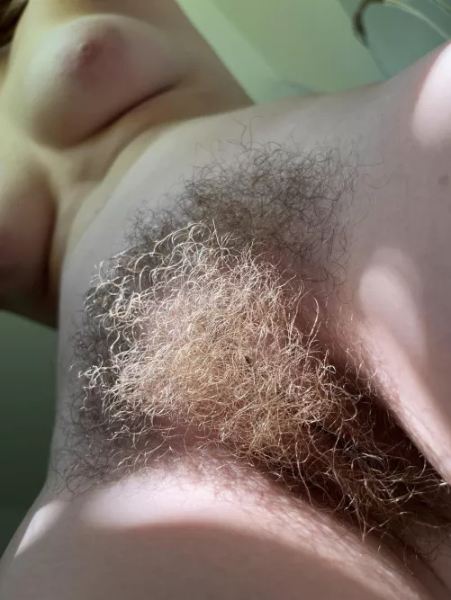 Guess how long I grow my bush? by abbysunny