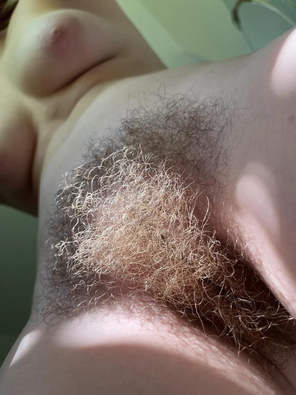 Guess how long I grow my bush? posted by abbysunny