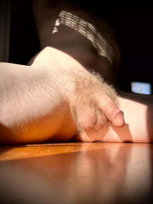 How's my bush, Bro? by beerzNbriefz