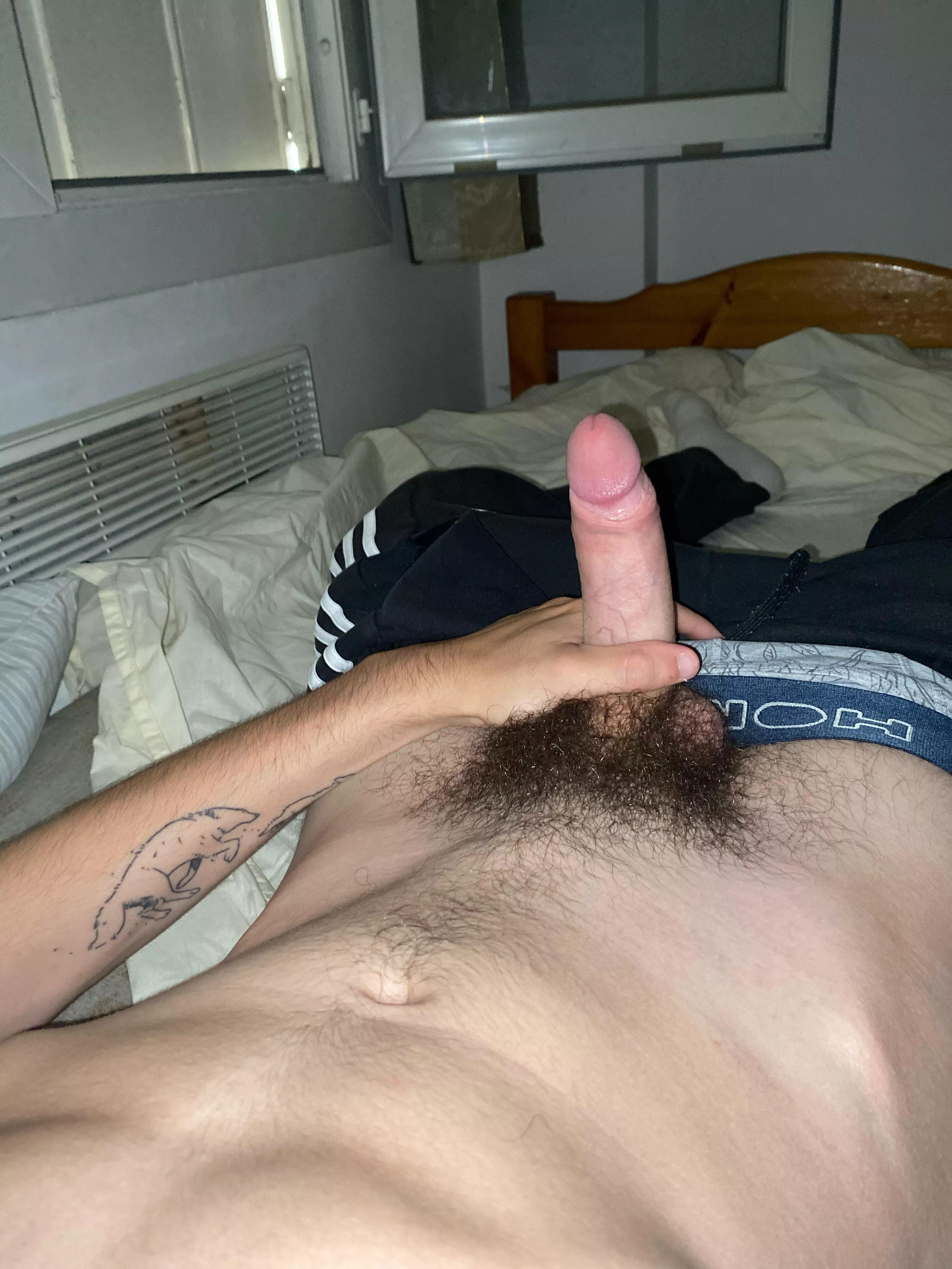 26 sc joho2611 need some hairy bros posted by Complete-Beginning47