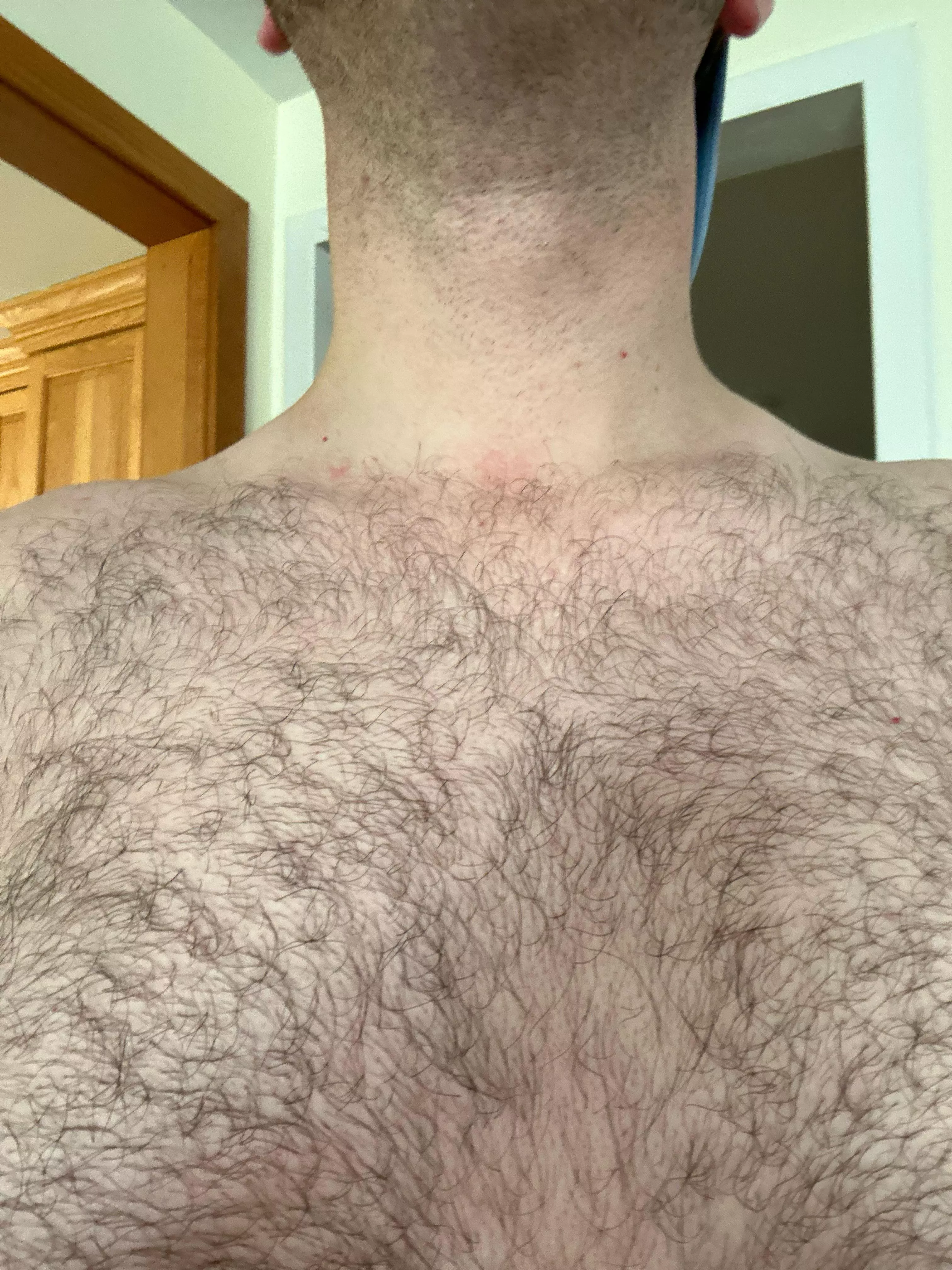 27 straight curious. Hairy af and horny. Let’s experiment boys…hit me up. mrsmithmps posted by Front-Sky-7553