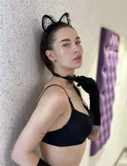 fantastic black cat by apple_only_