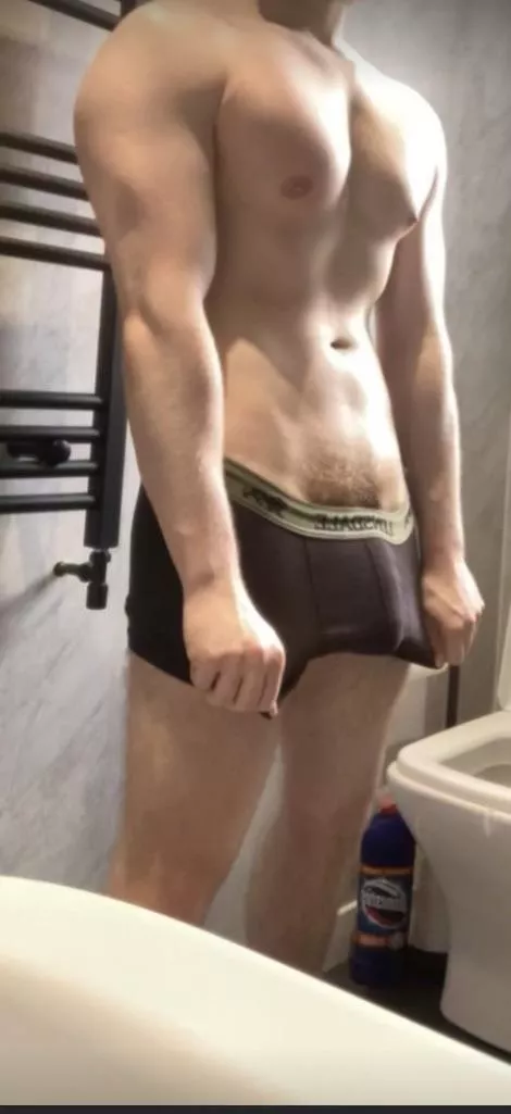 How about this outline?  posted by First-Artichoke-5958