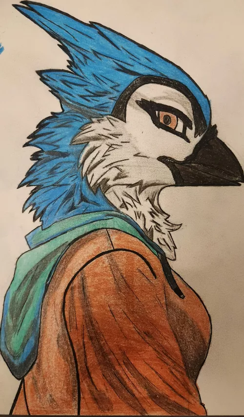 I don't see many Bluejay fursonas, what should her name be? (art by me) by Patient-Scarcity3175