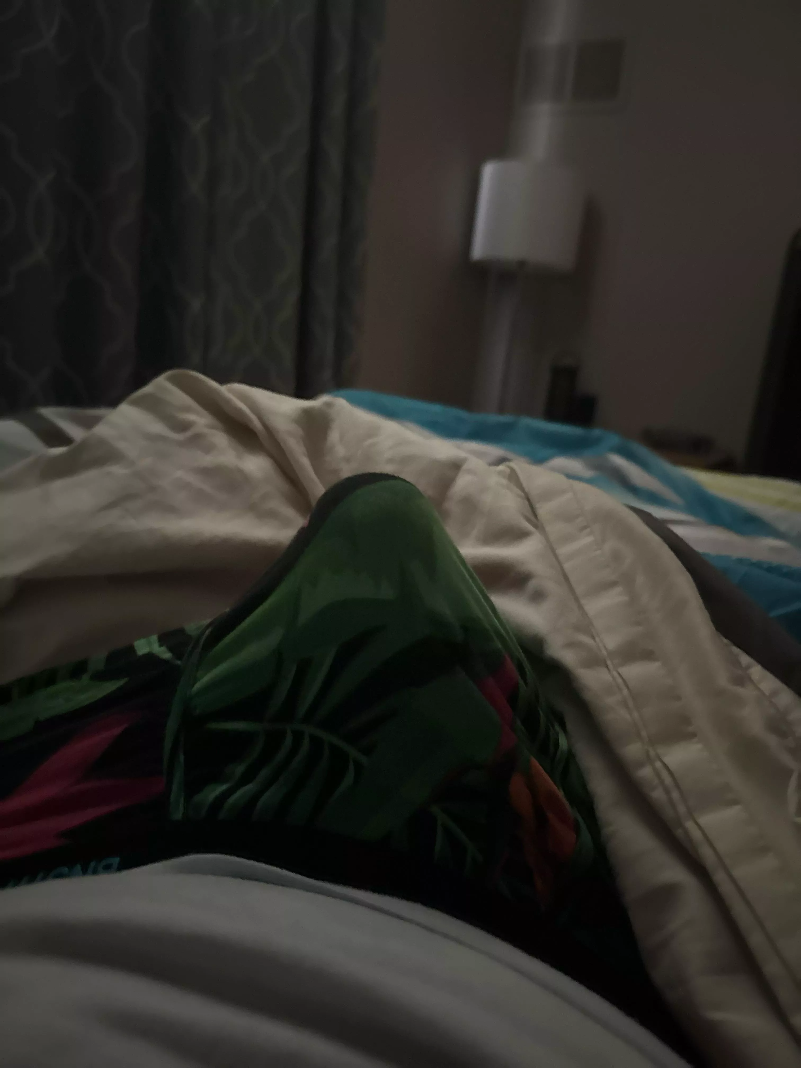 Morning (35)  posted by budlightyear2021