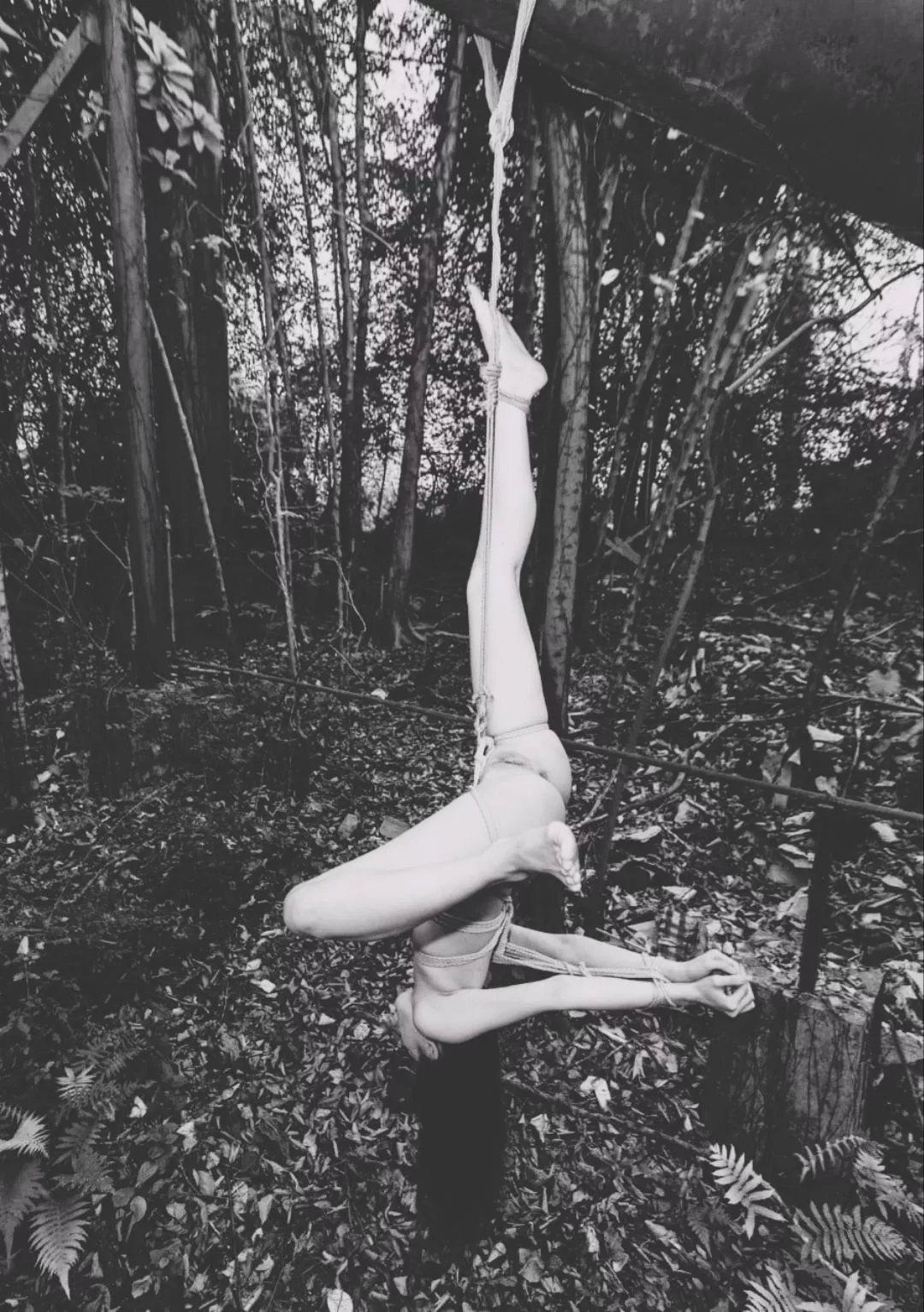 Nature is beautiful  posted by HarsyDom