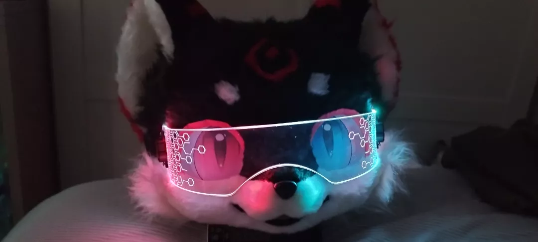 New visor posted by BeginnerFurtist