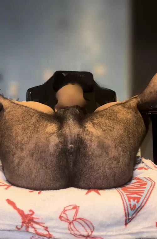 On the chair? by Lem_borg