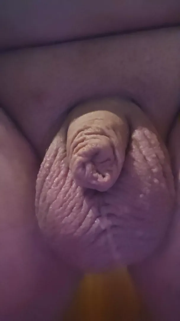 Premature ejaculation and a small dick who can make me cum the fastest? by [deleted]