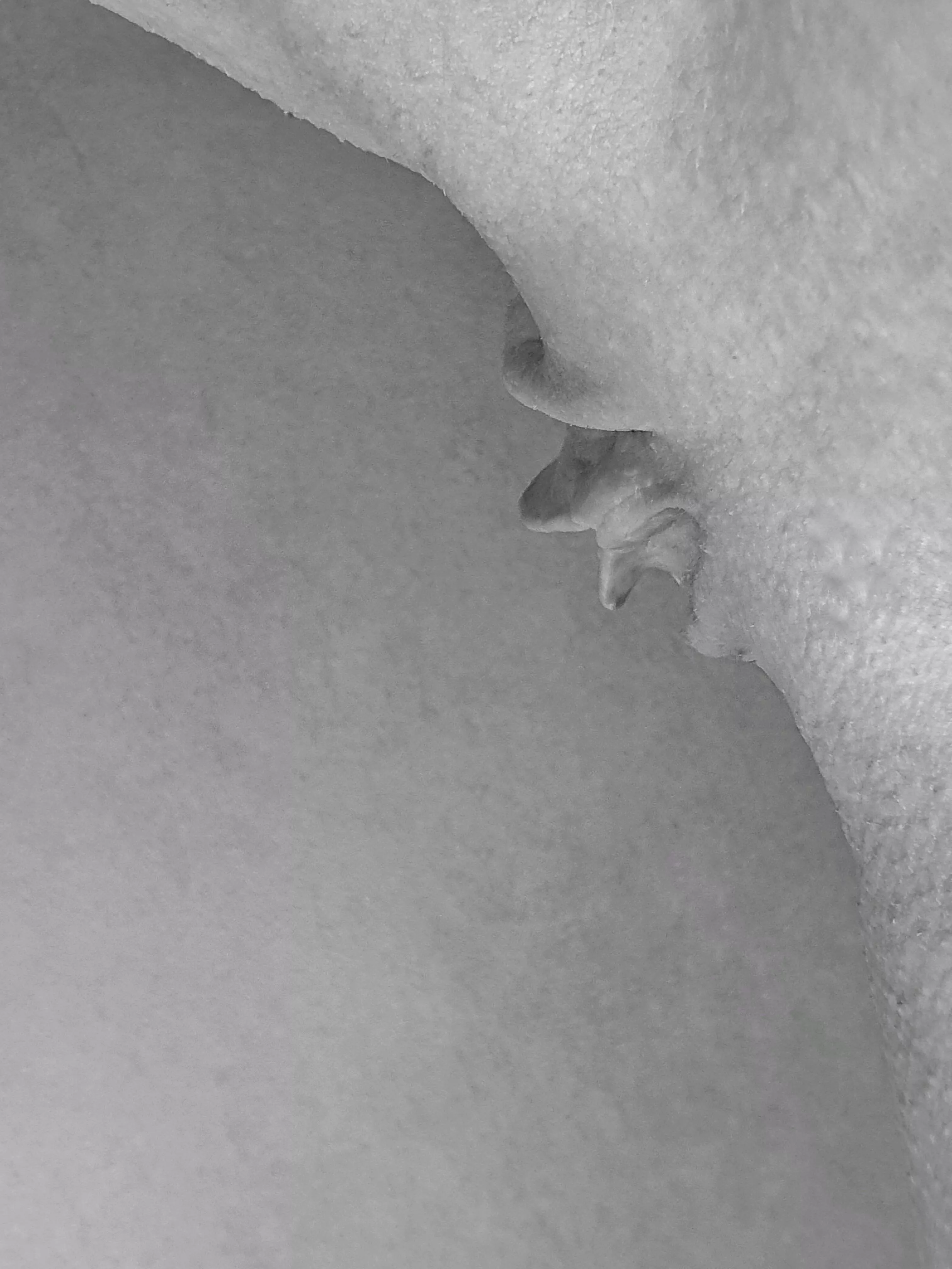 Ready to eat posted by funbunnycouple