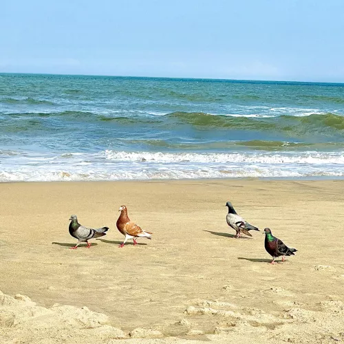 Walking on sunshine by Adventuregirl41