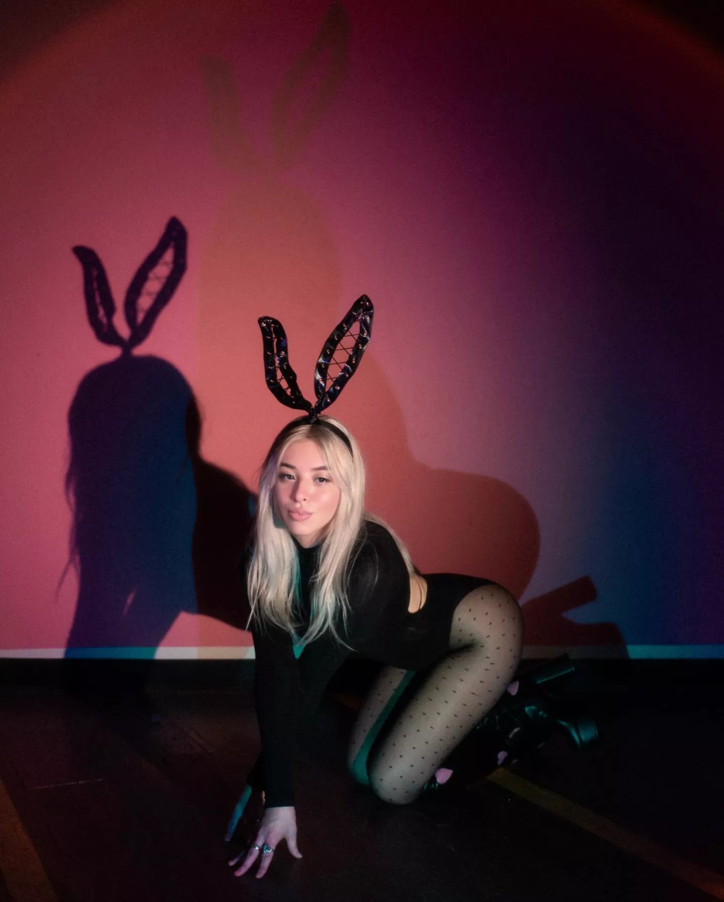 you'd like to touch my ears, wouldn't you posted by DreamyyMe