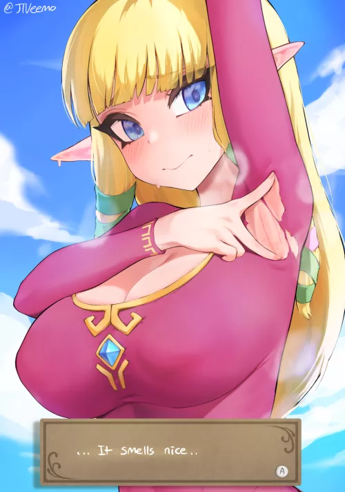 Zelda (The Legend of Zelda: Skyward Sword - jtveemo) by Reasonable_Bother312