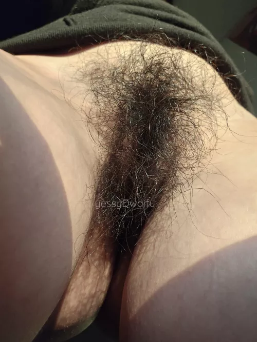 a naturally contained bush is also hot  by yessyDwaifu