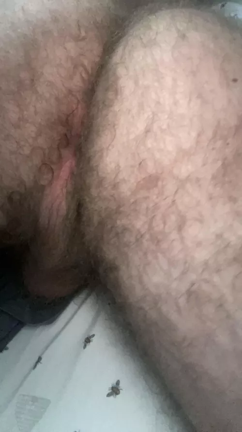 British otter arse and pink hole by Original-Issue999