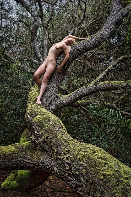 Exploring the Forest by AustinFigures