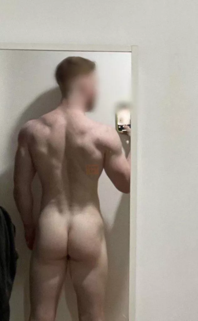 I want to be your muse posted by FarangFox