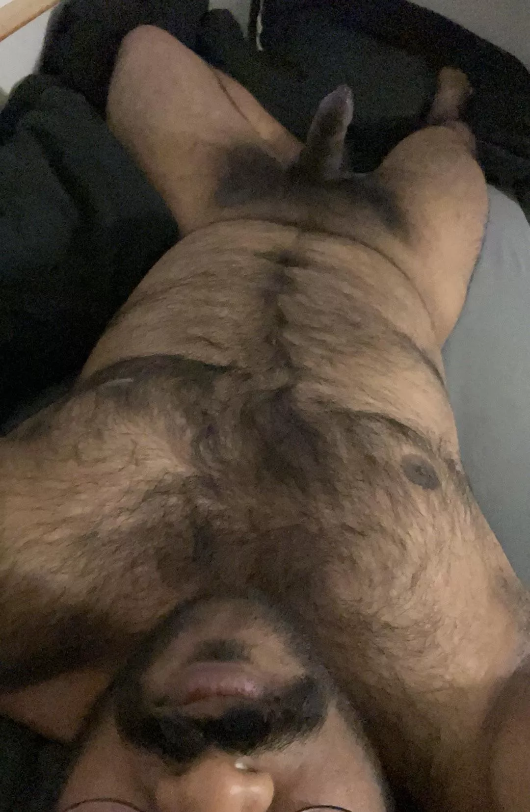 It’s so hot today, help me cool off? posted by Brown_Bear_1