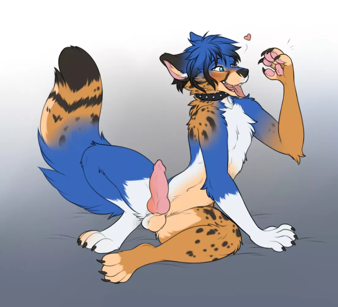 Transforming (by Keihound) posted by extro_introverted