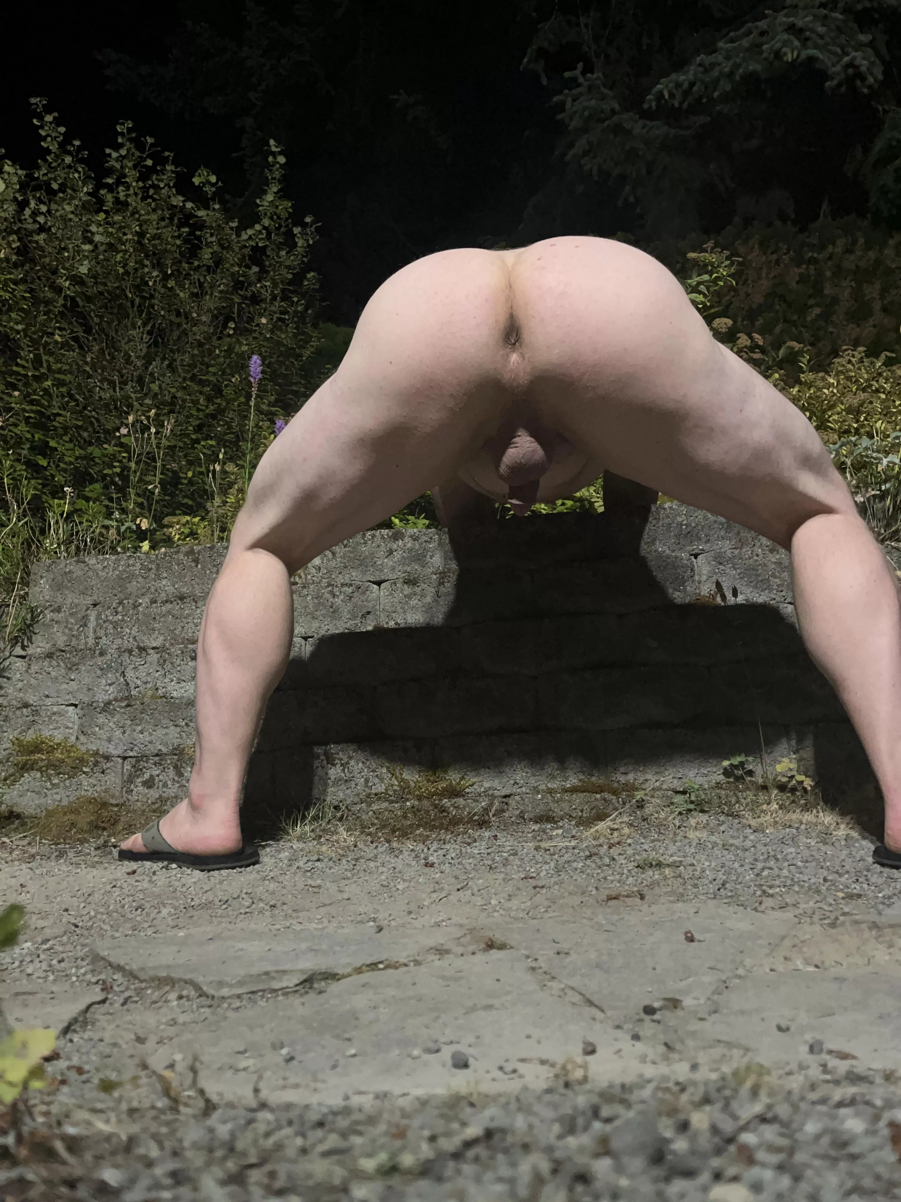 A wild booty appears, are you eating or fucking it first? posted by stiv_gro-fur