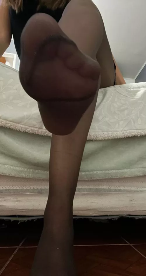 Kneel down and Enjoy these nylon covered soles. What are you doing next. by cataaaaa303