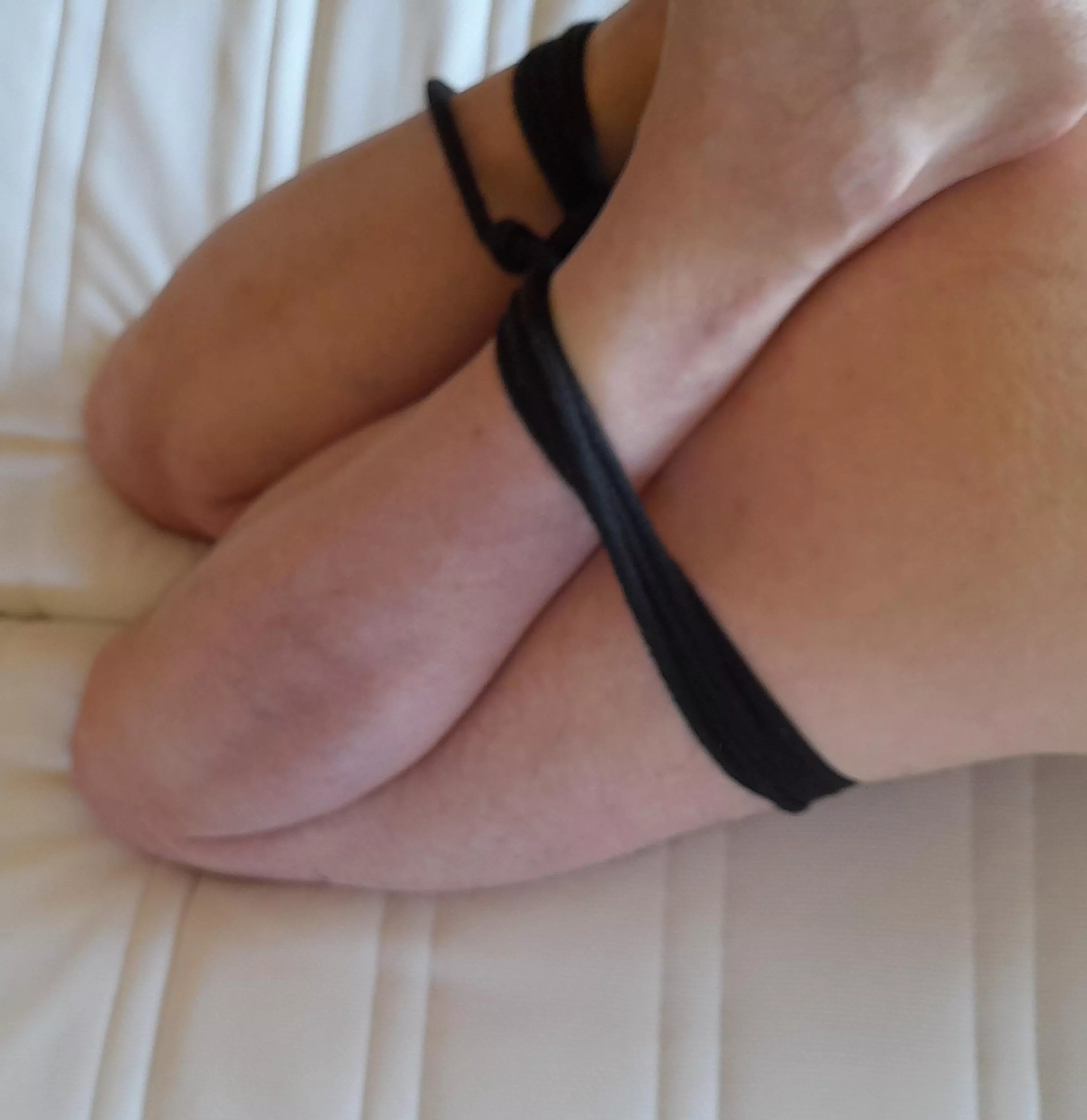 Legs tied posted by Knutctw