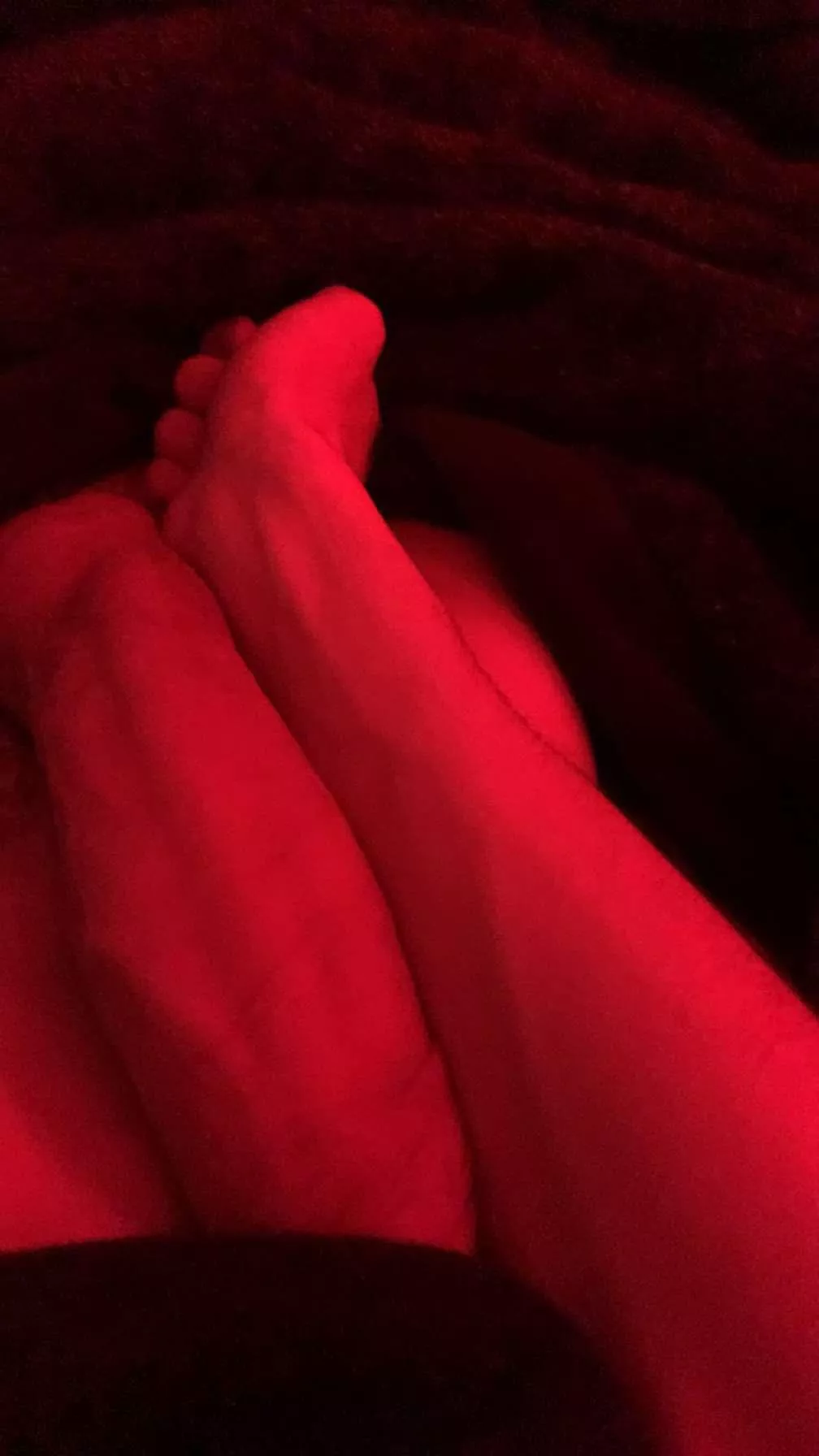 let me breed u  posted by Prudent-Band8927