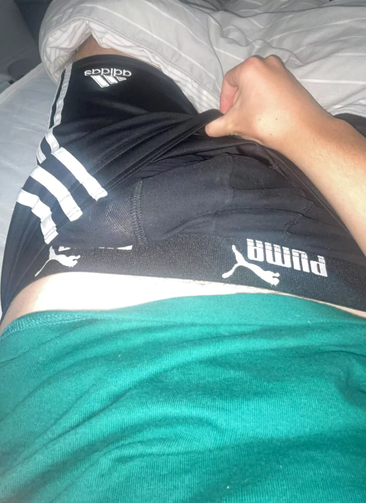 Let me know if you want to see it (19) posted by Eastern_Cicada3843