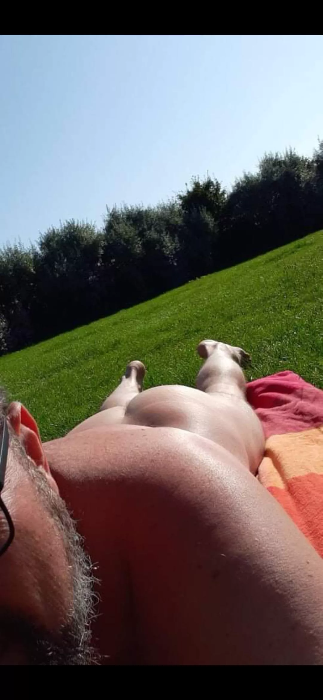 Loving this nude beach in Sweden. posted by Relative_Tonight9628