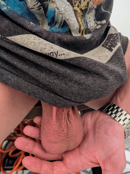 Palm Sized Walnuts  by lovemlow