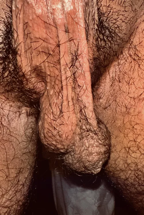 What do you think!? by Southern_Tap7831