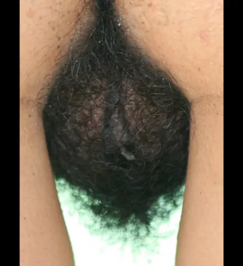 130 mm Apochromatic Quadruplet Refractor by Shibui4444