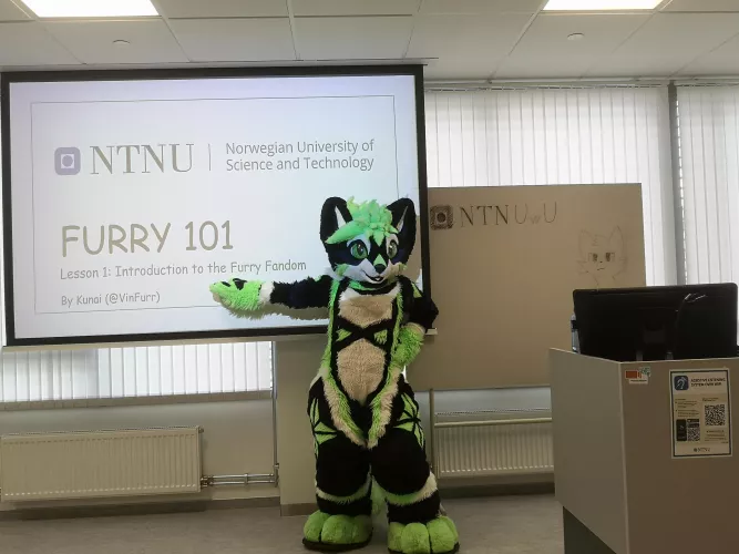 Furry 101 by VinFurr