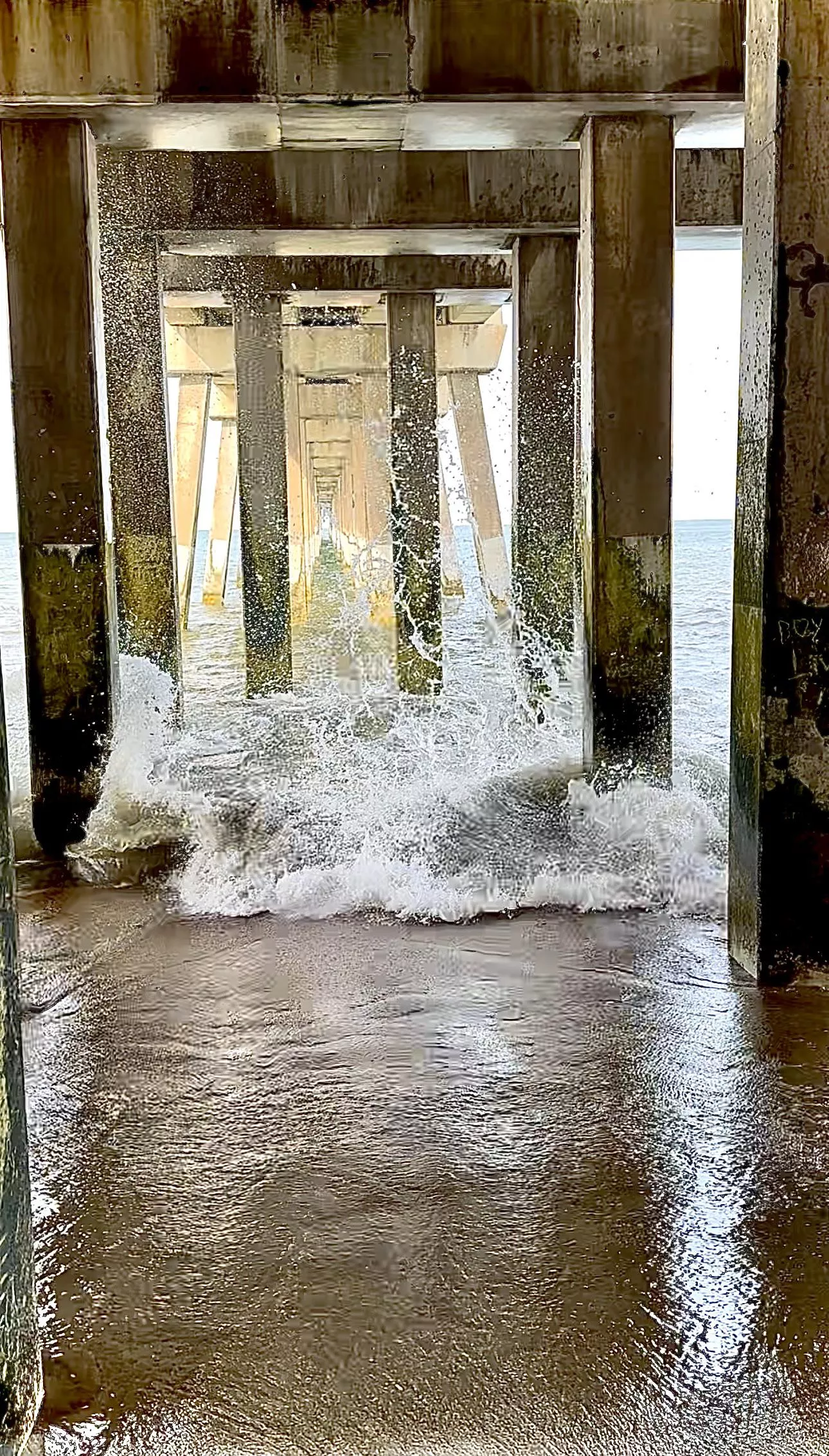 High tides and good vibes posted by Adventuregirl41