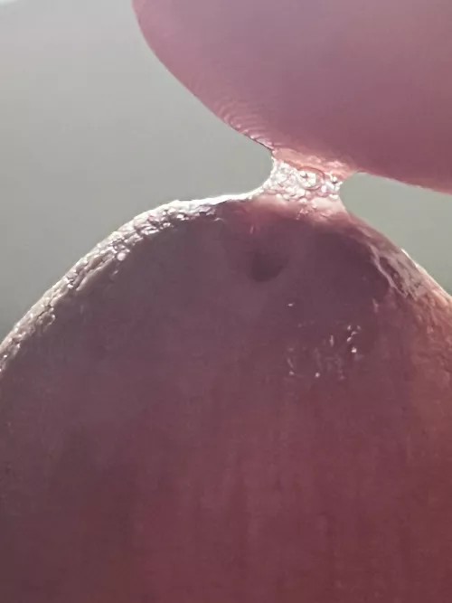 It ain’t easy bein creamy by jmitchell1914