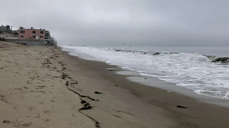 Malibu Friday morning. The pelicans looked bigger in real life.  by timemachine723