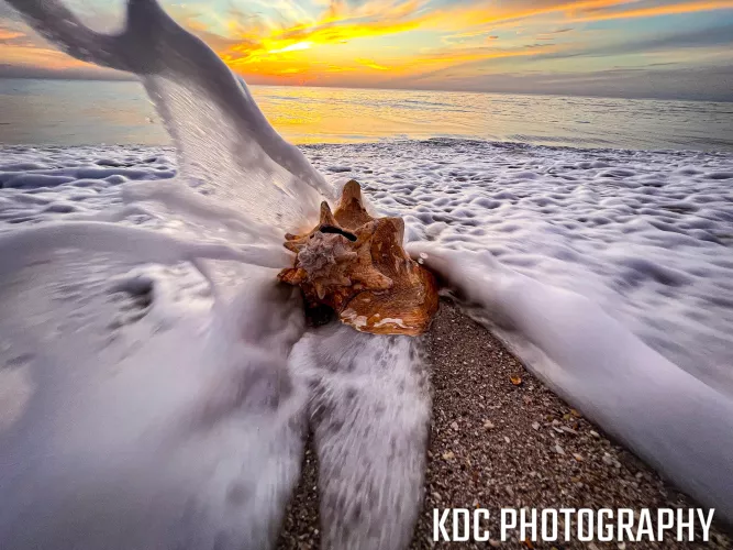 My view by Shellife0808