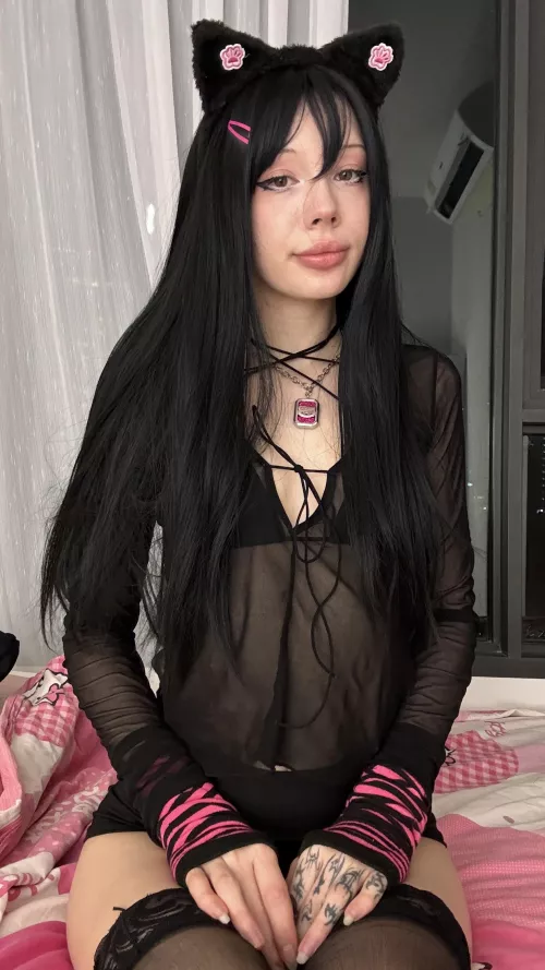 Pay attention to your kitty! by Mollybabypills