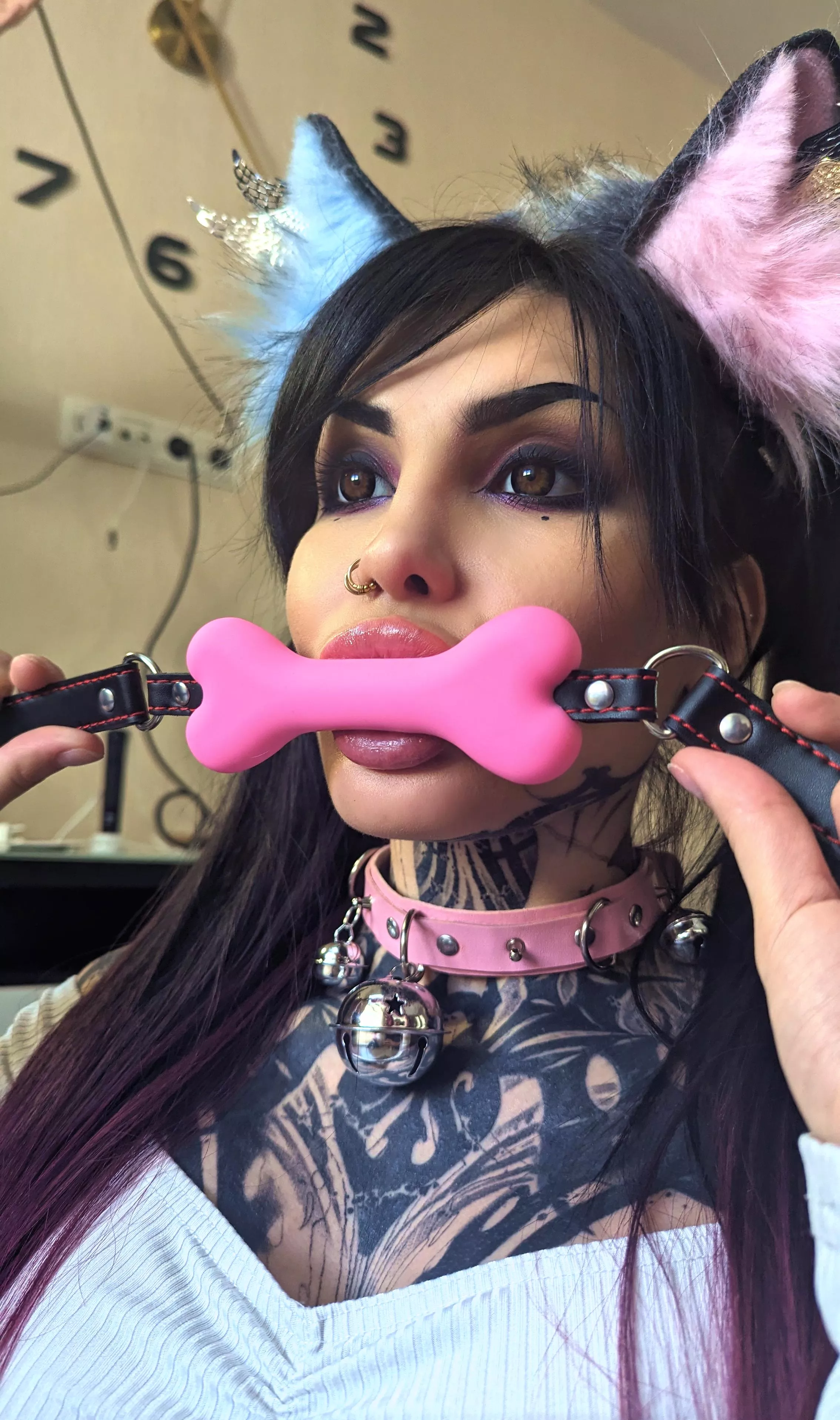 Rub my belly and tell me I was a good pet posted by Vampandbeauty