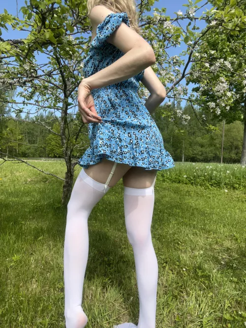 Stockings makes this dress look even better by mysteriouskittycat
