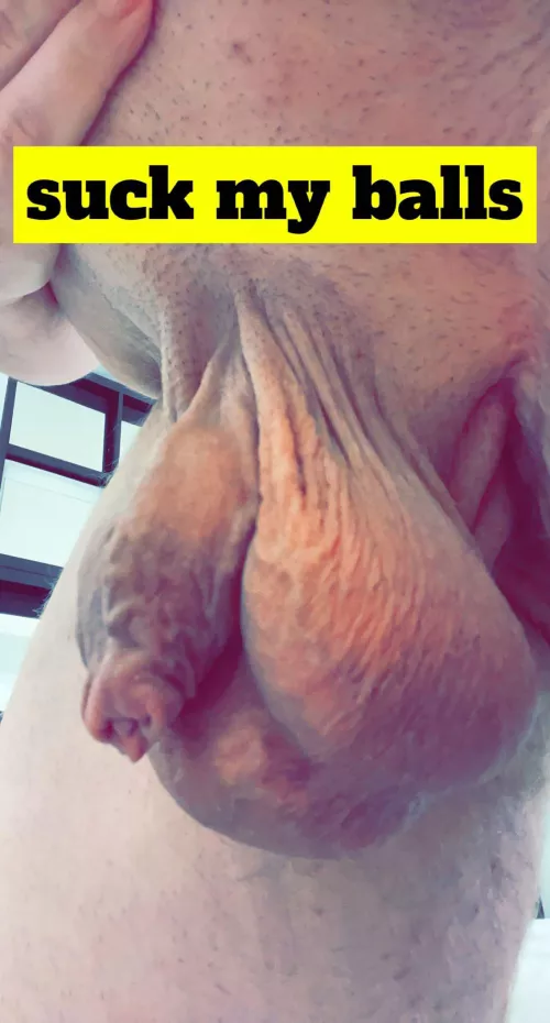 Suck Daddy's balls, slut. by BigBiChub_