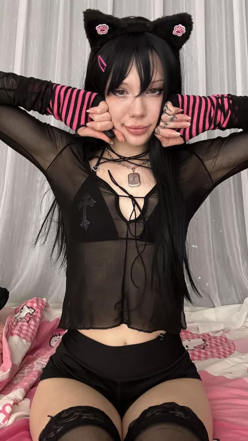 the cat really wants to get milk by Mollybabypills