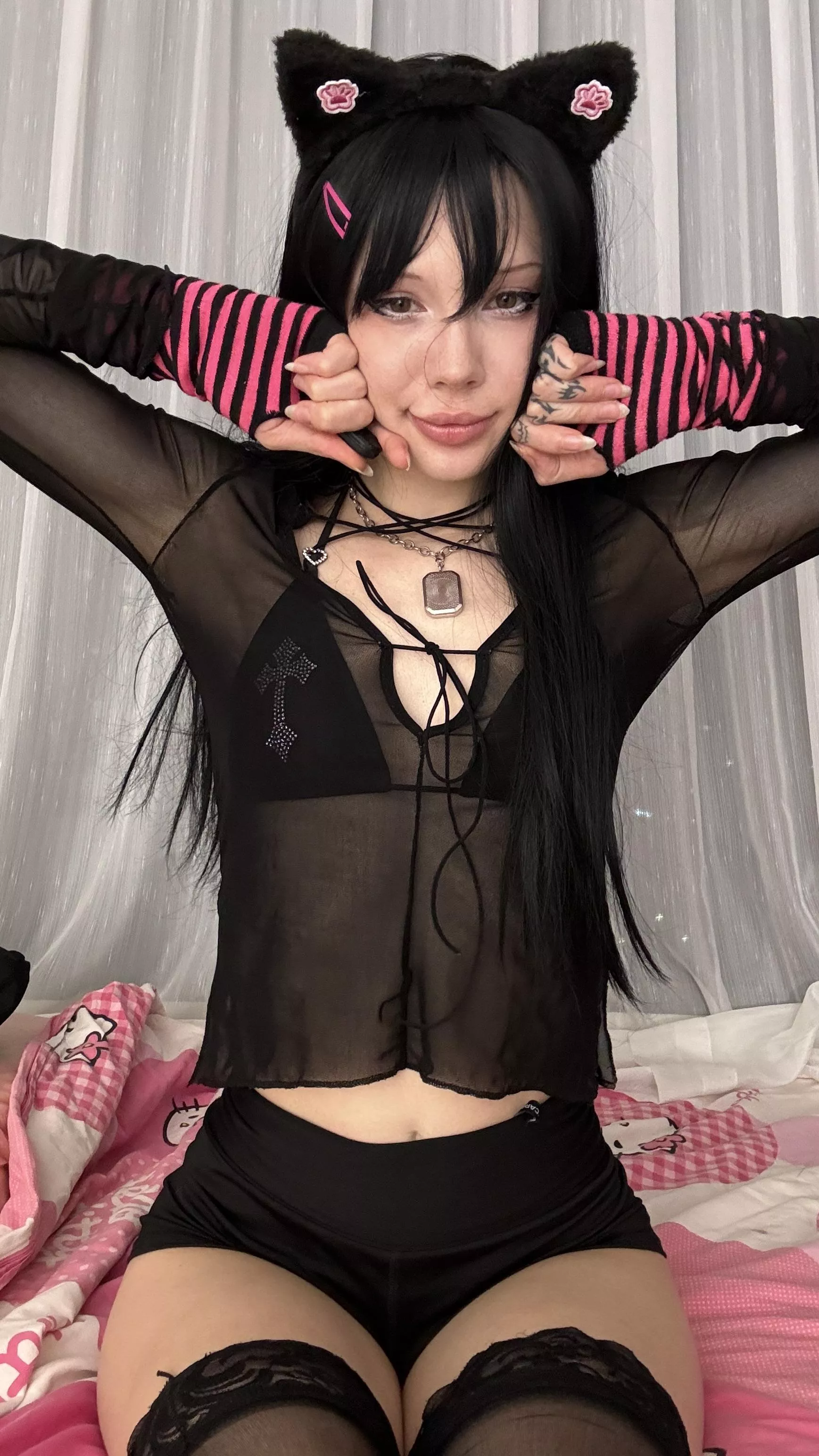 the cat really wants to get milk posted by Mollybabypills