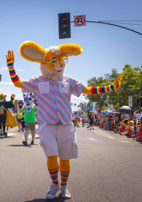 Went to a gay pride parade in San Diego by Orvan-Rabbit