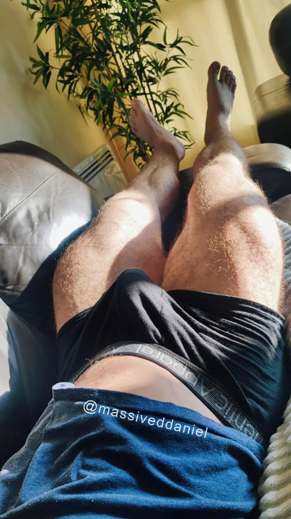 Guess my underwear size posted by MassiveDDaniel