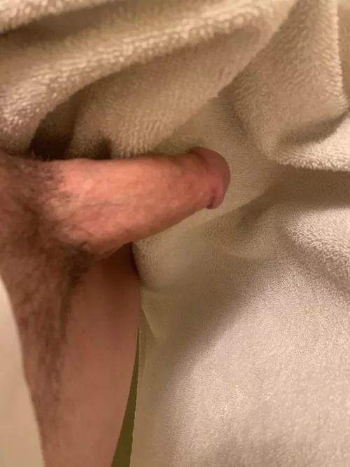 Help get this cock hard  by No_Economics_7720