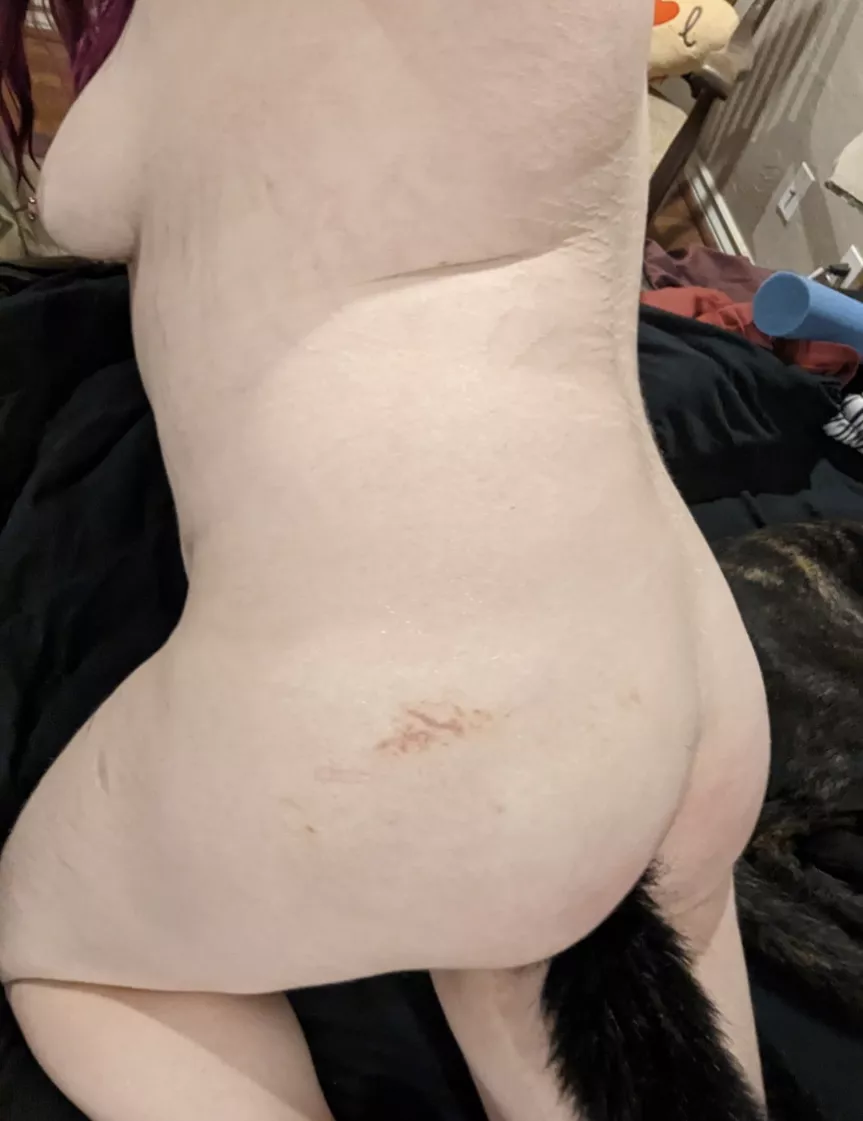 I'd love to curl up in someone's lap! 😻 posted by little-qt